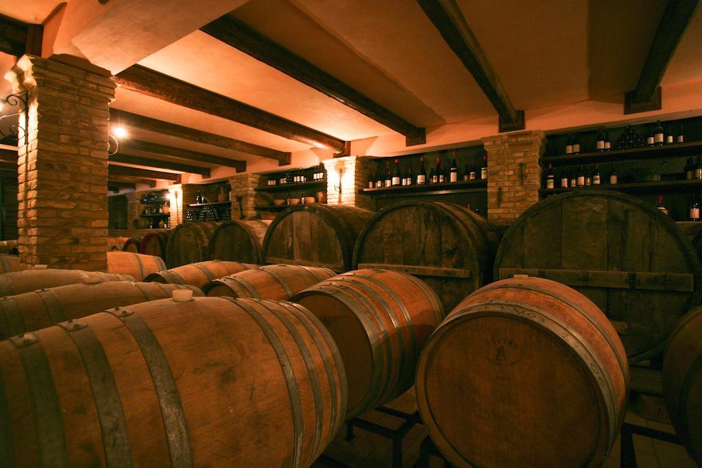 Azienda Vitivinicola Sergio Del Casale 瓦斯托 外观 照片